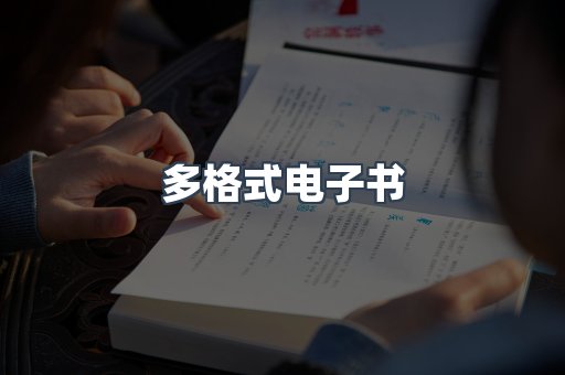 多格式电子书